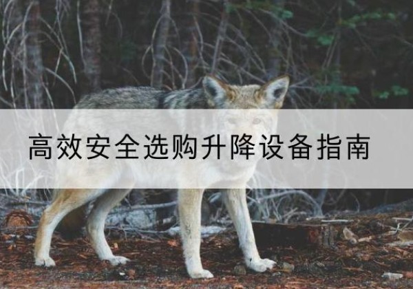 自流井升降货梯厂家推荐-*安全选购升降设备指南