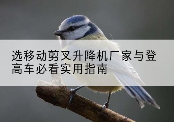 自流井电动升降机厂家-选移动剪叉升降机厂家与登高车必看实用指南