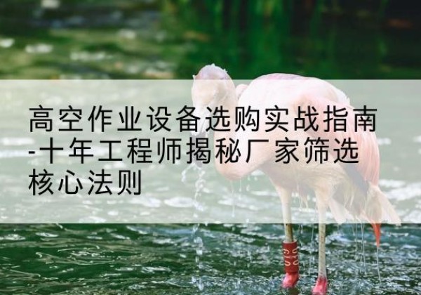 自流井剪叉式升降机厂家-高空作业设备选购实战指南-十年工程师揭秘厂家筛选核心法则